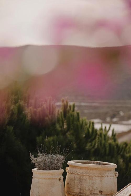 Herdade d' Amoreira Lavanda Villa