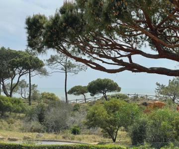 Praia Da Falésia Alfa Mar Albufeira