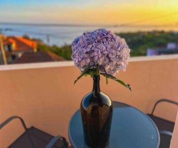 Apartment 1BR Hills over Ponta do Sol, sea view