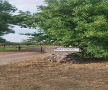 Lodge Rabasquinha