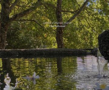 Quinta D`manuel Maria- Rural Charm Houses