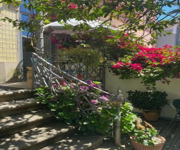 Vila Camélia