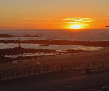 Cachinnans Hostel & Apartments