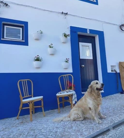 Casa Buganvilla