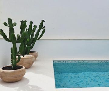 Casa Do Logradouro