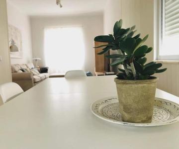 Spacious 3 bedroom apartment 20 min to Lisbon