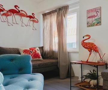 Flamingo