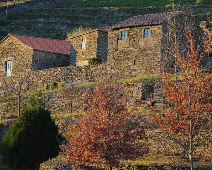 Cardenha do Douro