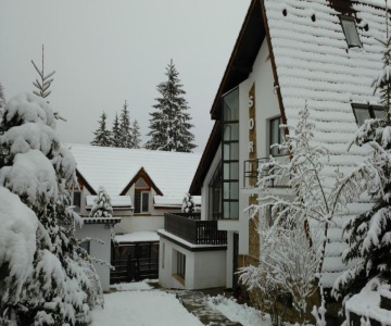 Vila Sorina