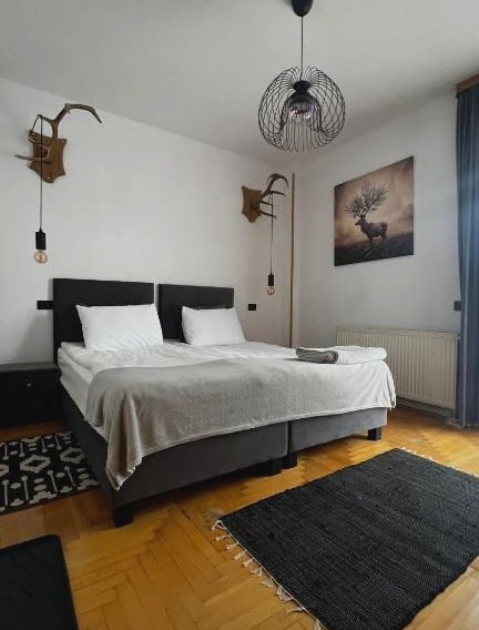 Pensiunea Alpin Predeal