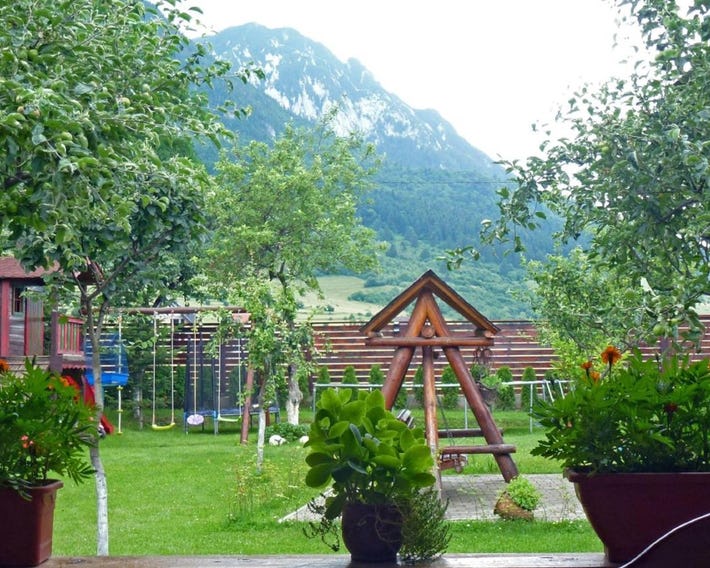 Sura Pietrei Craiului