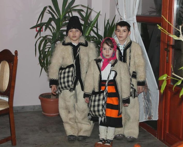 Pensiunea Crinul Alb