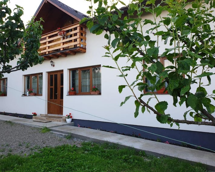 Pensiunea Ilea
