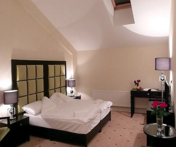 Pushkin Hotel