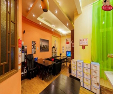 Bear Hostels