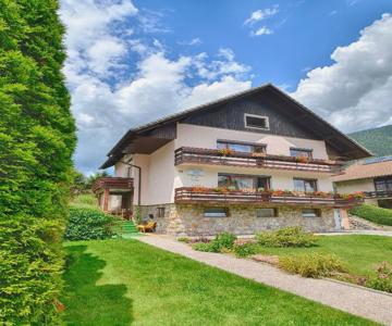 Apartments and Rooms Banic