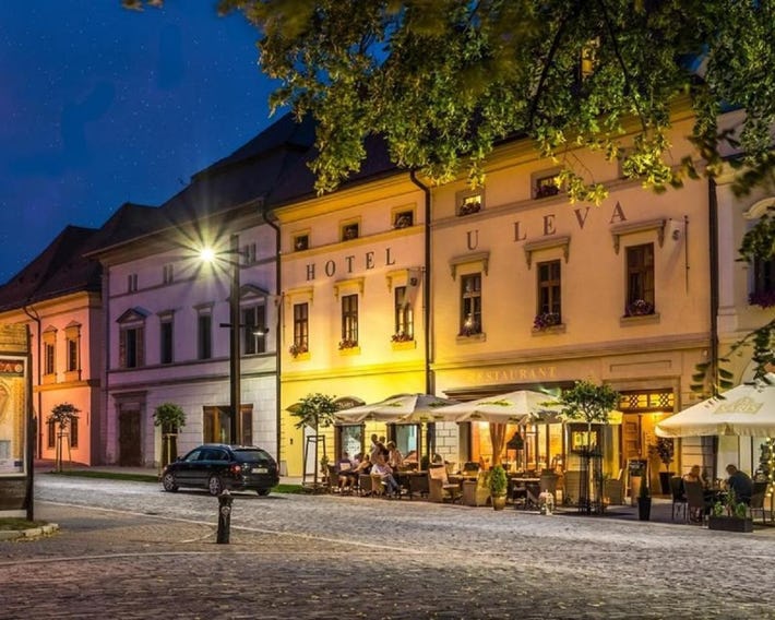 Hotel U Leva