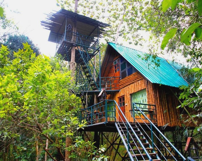 Khao Sok Tree House Resort