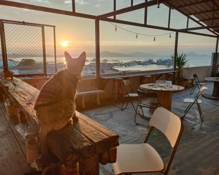 Sattahiptale Boutique Guesthouse & Hostel