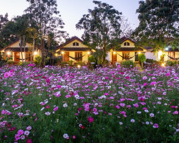 The Nest House