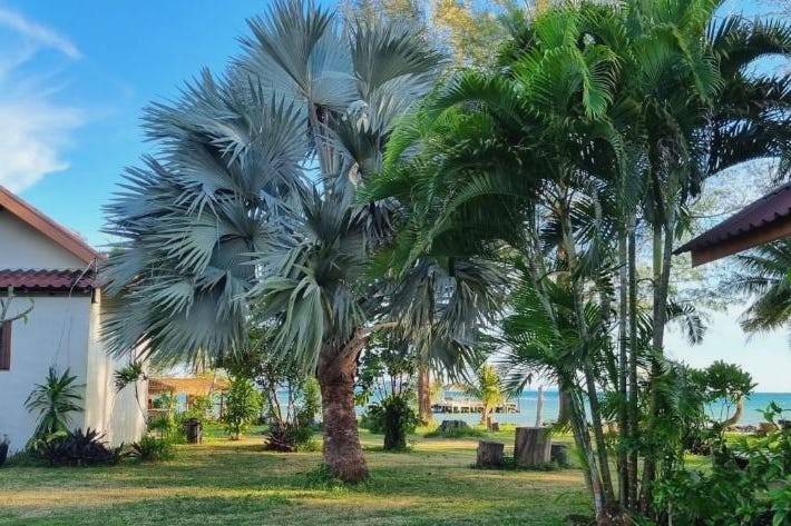 TK Beach Resort Koh Mak