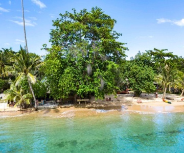 Monkey Island Resort