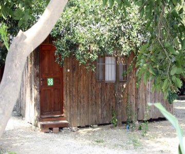 Saban Tree Houses