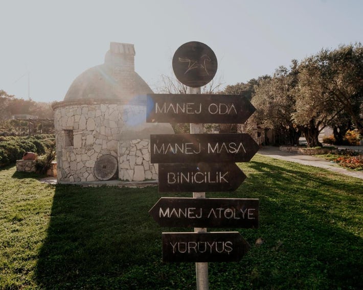 Manej Urla