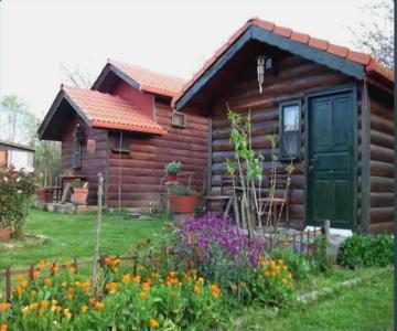 Agva Tartaruga Motel