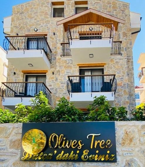olives tree