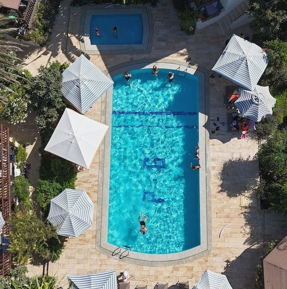 Paradise Garden Gümüslük Evleri
