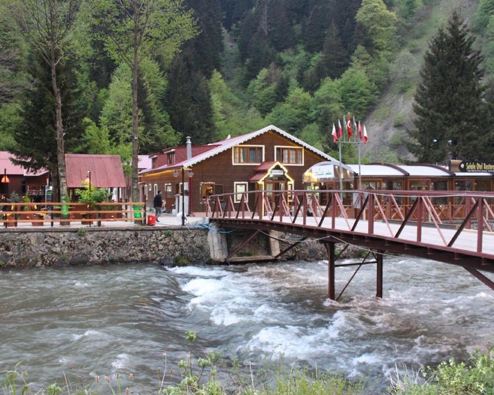 Uzungol Selale otel Bungalow