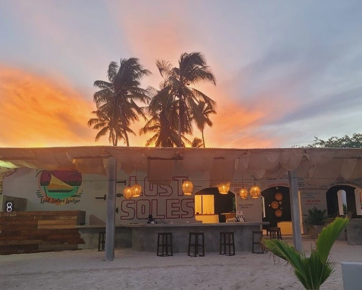Driftwood Beach Lodge