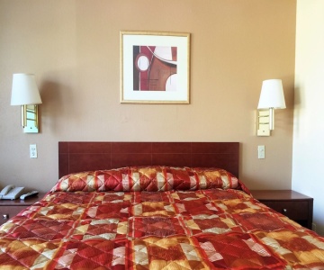 Bama Inn