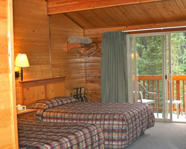 Denali Grizzly Bear Resort