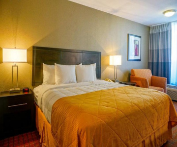 Quality Inn Phoenix Airport