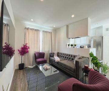 Hollywood Purple Habitat
