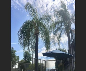 Good Nite Inn Redlands - San Bernadino - Big Bear
