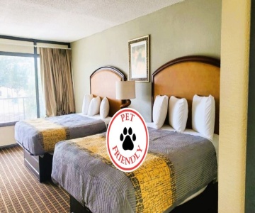 Palmetto Inn & Suites
