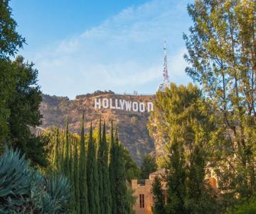 The Hotel Hollywood - WestsideRentals