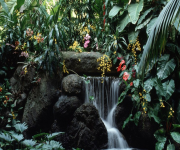 Disney's Polynesian Villas & Bungalows