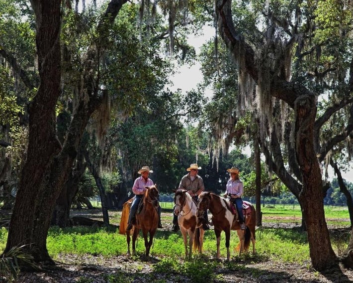 Westgate River Ranch Resort & Rodeo