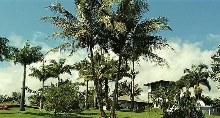 Island Goode's - Luxury Adult Only Accommodation near Hilo