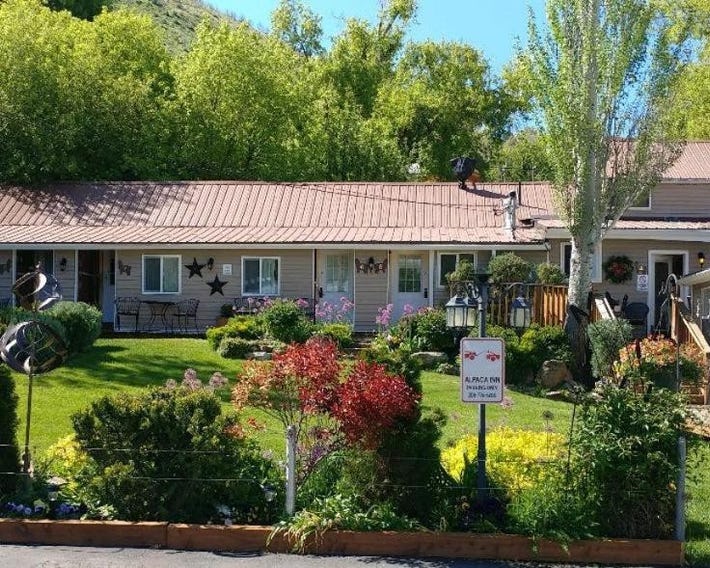 Alpaca Inn, The