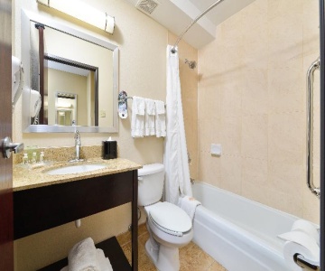 Holiday Inn Chicago - Mount Prospect