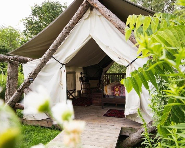 Firelight Camps
