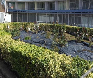 Budget Inn Albany