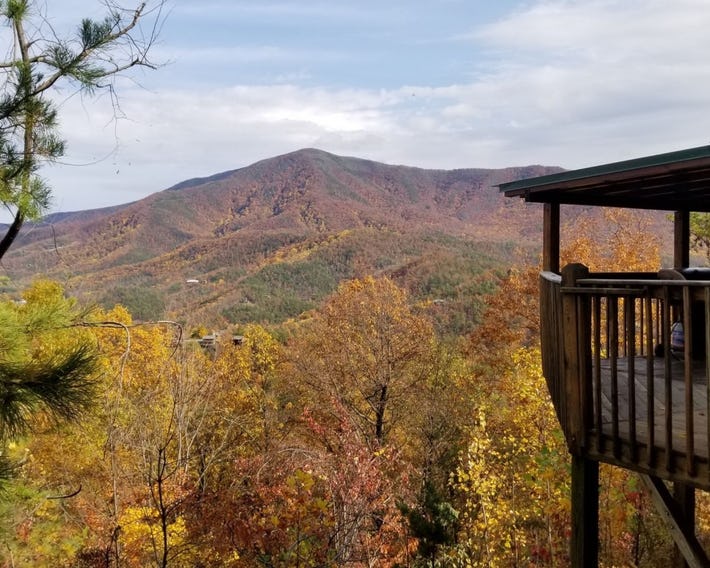 Majestic Views 4 Br cabin by RedAwning