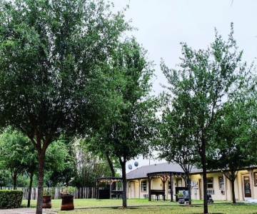Rooms At The Pecan