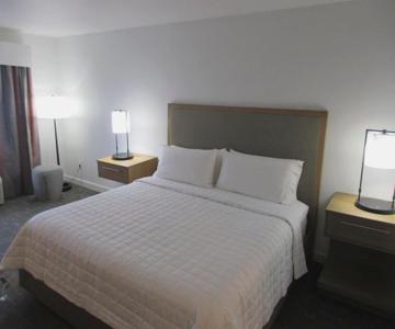 Best Western Premier Houston Downtown/Convention Center Hotel